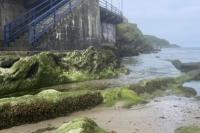 Inggris Pakai Kecerdasan Buatan Cegah Pencemaran Air