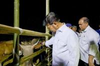 Mentan Syahrul Yasin Limpo Jamin Ketersediaan dan Kesehatan Hewan Kurban