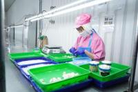 KKP Fasilitasi UMKM Perikanan Tembus Belasan Retail Skala Nasional