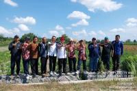 Langkah Adaptasi dan Mitigasi El-Nino, Kementan Validasi EWS Sipantara