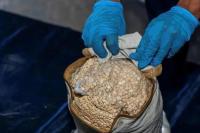 Arab Saudi Sita Lebih dari 150.000 pil Captagon yang Diselundupkan dalam Mobil