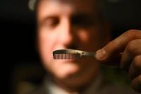 Ribuan Barang Pribadi Freddie Mercury Dilelang, Minat?