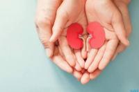 Deretan Buah yang Baik untuk Menjaga Kesehatan Ginjal Secara Alami