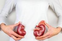 Jangan Anggap Sepele, Begini Cara Deteksi Dini Kanker Ginjal