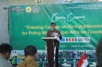 Kementan Latih Pemangku Kebijakan Negara-Negara Afrika Agribisnis Padi
