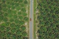 Guru Besar IPB: Sumatra Kehilangan Biodiversitas Tertinggi di RI