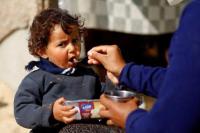 Tunggu Kondisi Aman, Badan PBB Hentikan Distribusi Pangan ke Utara Gaza