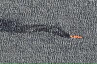 Yaman dan Militer AS Sebut Penenggelaman Kapal di Laut Merah Ancam Lingkungan