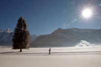 Putusan Pengadilan Eropa Perintahkan Swiss Bertindak Mengekang Perubahan Iklim