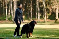 Ini Inspirasi Lagu yang Dirilis Rizky Irmansyah Bareng The Rain