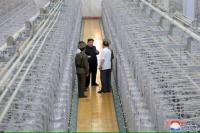 AS-Jepang Komitmen Akhiri Nuklir, Korut Menjawab: Senjata untuk Bertempur