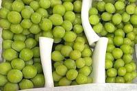 Catat Ya! Ini 5 Perbedaan Anggur Merah, Hijau, dan Hitam