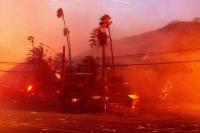 Mengenal Makna Angin Pembawa Api dalam Surat Al-Baqarah Ayat 266