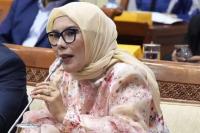 Legislator PAN Soroti Ketidaksesuaian Rating Gim, Minta Evaluasi IGRS