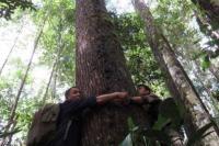 Lingkungan Alami Bisa Tekan Rasa Takut dan Cemas, Ini Temuan Ilmiahnya