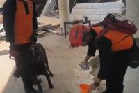 Tim K9 Polri Temukan Dua Korban Gempa Myanmar