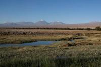 Masyarakat Adat Chili Inginkan Perlindungan Lingkungan Tambang Litium