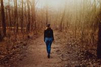 BMKG Umumkan Kemarau 2026 Lebih Kering Dibanding Rata-rata Selama 30 Tahun