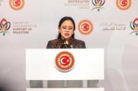 Puan Minta Pemerintah Tindak Tegas Ormas yang Ganggu Ketertiban Umum