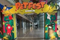 Wow, Hari Minggu Ada Kucing Kesayangan Presiden Prabowo di Petfest Indonesia 2025