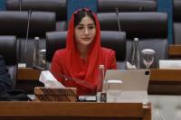 Komisi VII DPR Minta Pemerintah Perkuat PTDI dan Industri Pertahanan