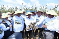 Mendes Optimis Indonesia Segera jadi Lumbung Pangan Dunia, Ini Alasannya