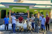 Idul Adha, PTPN I Salurkan Hewan Kurban dan Sedekah Daging Rp245 Juta