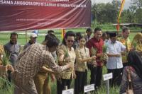 Pimpinan DPD RI Hadiri Panen Raya Bawang Merah, Beri Perhatian Ketahanan Pangan DIY