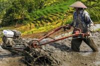 Mengenal Hari Lahan Basah Sedunia yang Diperingati 2 Februari