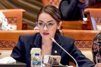 Legislator NasDem Minta Komdigi Selesaikan Permasalahan Blank Spot di Daerah Terpencil