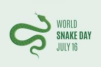Hari Ular Sedunia 2025, Sejarah, Makna hingga Tujuan Peringatannya