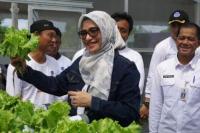 Ciptakan Ekonomi Sirkular, AirNav Indonesia Bikin Progam Kampung Better