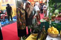 Pisang Tanduk Torpedo 1 Curi Perhatian Pengunjung IPxpose 2025