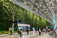 Daftar Maskapai dan Bandara Terbaik Dunia Versi Forbes