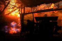 KTT Putin-Trump Ditunda Setelah Rusia Tolak Gencatan Senjata