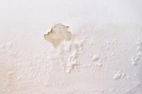 Cara Ampuh Perbaiki Dinding Lembap di Musim Hujan