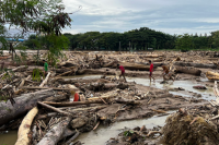 Prabowo Cabut Izin 28 Perusahaan Imbas Bencana, Ini Daftar Lengkapnya