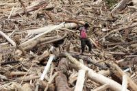 Bencana Banjir, Momentum Koreksi Struktur Penguasaan Tanah