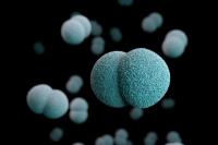 Meningitis, Risiko Mematikan dan Pentingnya Vaksin Sejak Dini