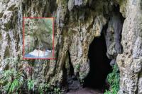 Riset Ungkap Beras Tertua di Pasifik Dibawa Manusia 3.500 Tahun Lalu