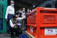 4 Orangutan Korban Perdagangan Ilegal Direpatriasi, Menhut Merasa Sedih..