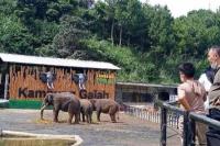 5 Tempat Wisata Ramah Anak di Bandung, Cocok untuk Liburan Akhir Tahun