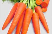 Ini Lho Makanan Terbaik untuk Menjaga Kesehatan Area Kewanitaan