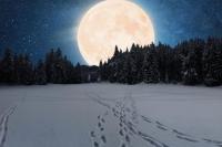 Supermoon Januari Bertemu Hujan Meteor Quadrantid, Apa Dampaknya?