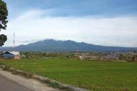 Fakta Menarik Gunung Malabar di Bandung Jawa Barat