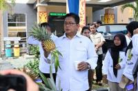 Wamentrans Dorong Nanas Jadi Komoditas Unggulan dari Kawasan Transmigrasi