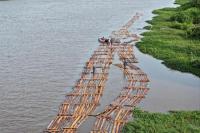 Ratusan Kayu Ilegal Mengular di Sungai Ketapang, Kemenhut Turun Tangan