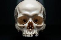 Ilmuwan Temukan Jejak Stres dan Pola Hidup Manusia Ribuan Tahun Lalu