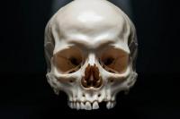 Ilmuwan Temukan Gigi Simpan Jejak Stres dan Pola Hidup Manusia Purba