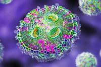 Ilmuwan Temukan "Makhluk Hidup" Baru di Dalam Tubuh Manusia